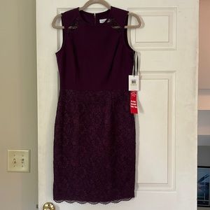 Calvin Klein Purple Lace Dress size 4 NWT